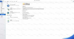 Office 2010（32/64位）插图10