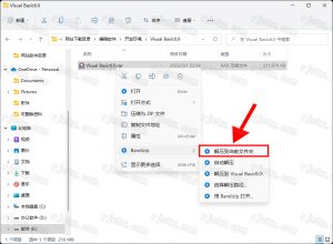 Microsoft Visual Basic 6.0中文企业版插图