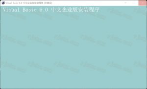 Microsoft Visual Basic 6.0中文企业版插图13