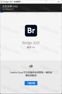Adobe Bridge 2021(64bit)插图3