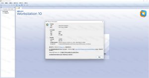 VMware Workstation Pro 10.0.0插图13