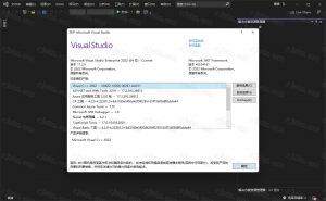 Microsoft Visual Studio 2022 企业版插图15