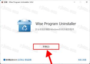 Wise Program Uninstaller 卸载工具插图2